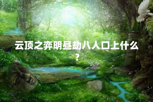 云顶之弈明昼劫八人口上什么？