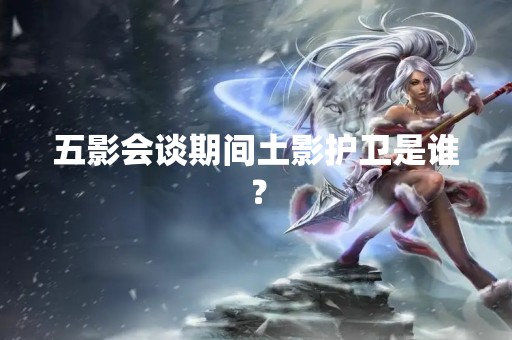 五影会谈期间土影护卫是谁？