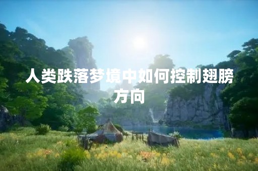 人类跌落梦境中如何控制翅膀方向