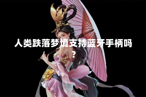 人类跌落梦境支持蓝牙手柄吗？