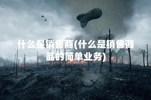 什么是销售商(什么是销售商品的简单业务)