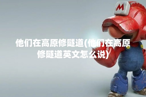 他们在高原修隧道(他们在高原修隧道英文怎么说)