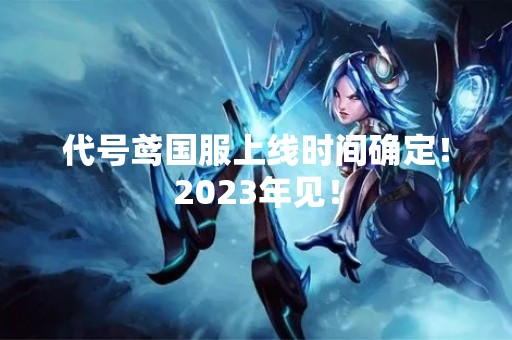 代号鸢国服上线时间确定！2023年见！