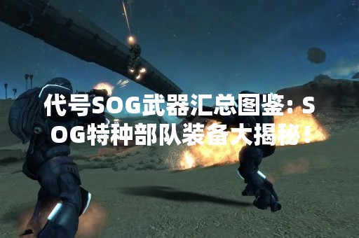 代号SOG武器汇总图鉴: SOG特种部队装备大揭秘！