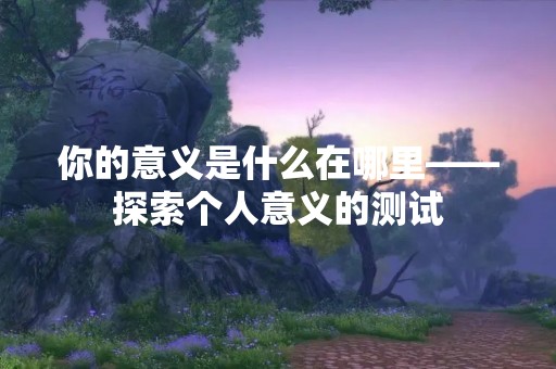 你的意义是什么在哪里——探索个人意义的测试