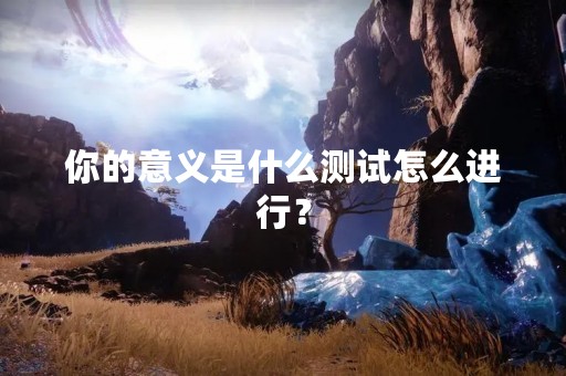 你的意义是什么测试怎么进行？