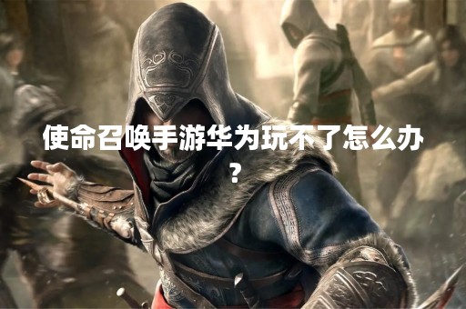 使命召唤手游华为玩不了怎么办？