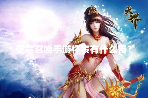 使命召唤手游怀表有什么用？