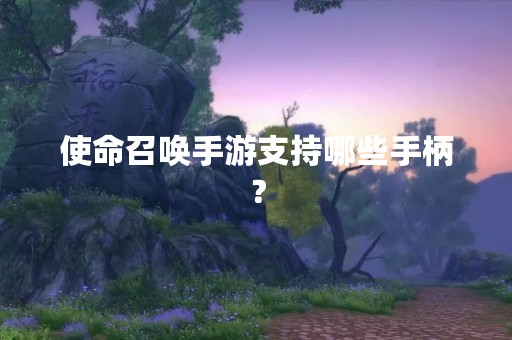 使命召唤手游支持哪些手柄？