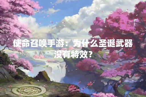 使命召唤手游：为什么圣诞武器没有特效？