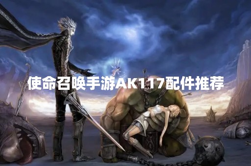 使命召唤手游AK117配件推荐