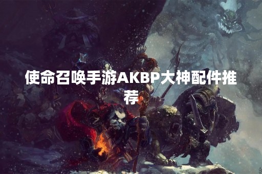 使命召唤手游AKBP大神配件推荐
