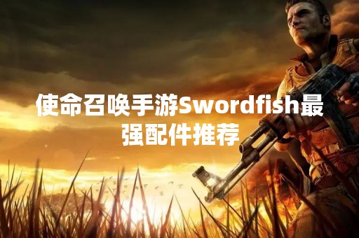 使命召唤手游Swordfish最强配件推荐