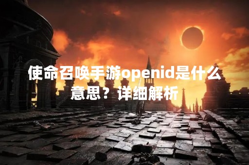 使命召唤手游openid是什么意思？详细解析