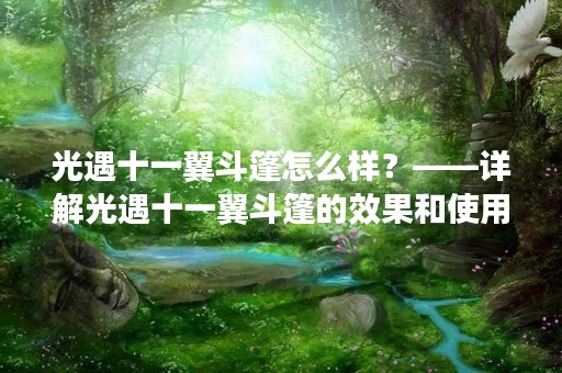 光遇十一翼斗篷怎么样？——详解光遇十一翼斗篷的效果和使用方法