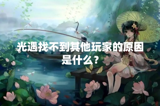 光遇找不到其他玩家的原因是什么？