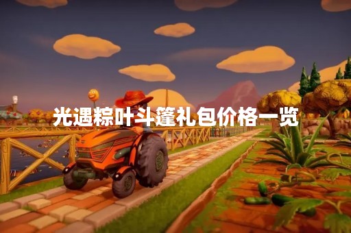 光遇粽叶斗篷礼包价格一览
