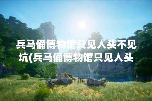 兵马俑博物馆只见人头不见坑(兵马俑博物馆只见人头不见坑十二生肖的排列顺序)