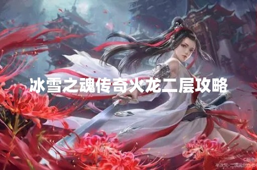 冰雪之魂传奇火龙二层攻略