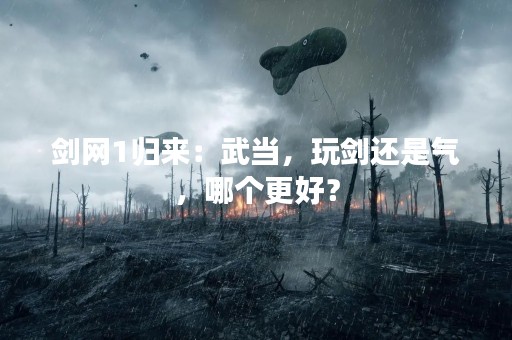 剑网1归来：武当，玩剑还是气，哪个更好？