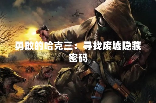 勇敢的哈克三：寻找废墟隐藏密码
