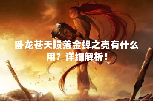 卧龙苍天陨落金蝉之壳有什么用？详细解析！