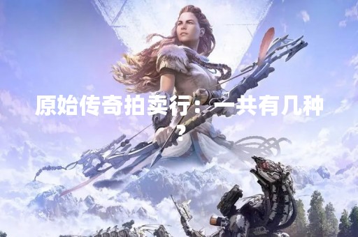 原始传奇拍卖行：一共有几种？