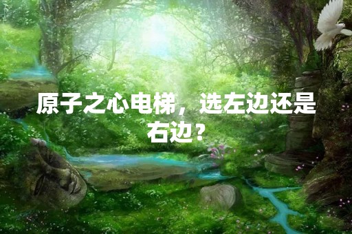 原子之心电梯，选左边还是右边？