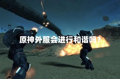 原神外服会进行和谐吗？