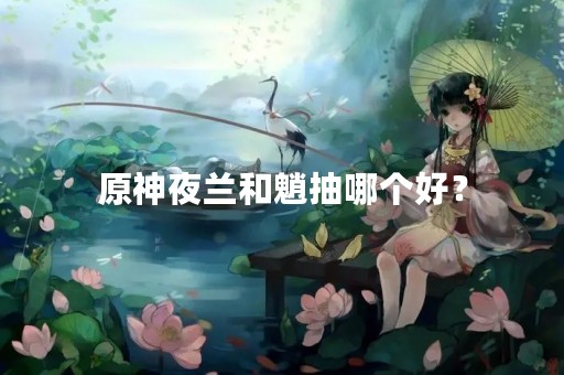 原神夜兰和魈抽哪个好？