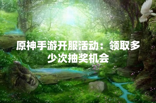 原神手游开服活动：领取多少次抽奖机会