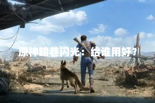 原神暗巷闪光：给谁用好？