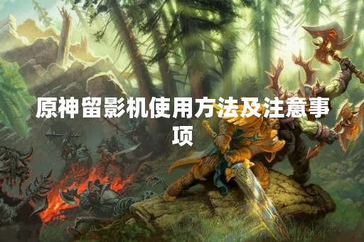 原神留影机使用方法及注意事项