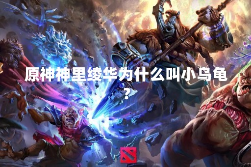 原神神里绫华为什么叫小乌龟？