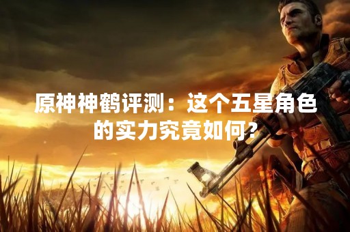 原神神鹤评测：这个五星角色的实力究竟如何？