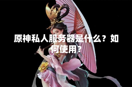 原神私人服务器是什么？如何使用？