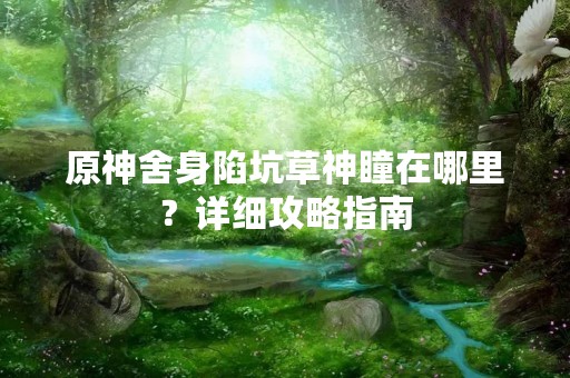 原神舍身陷坑草神瞳在哪里？详细攻略指南