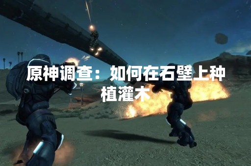 原神调查：如何在石壁上种植灌木