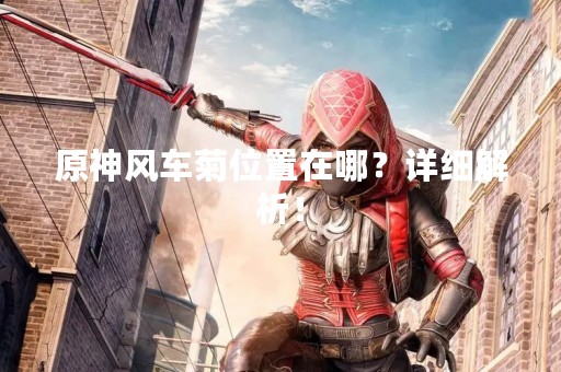 原神风车菊位置在哪？详细解析！