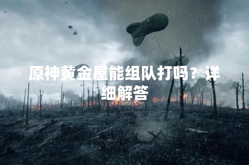 原神黄金屋能组队打吗？详细解答
