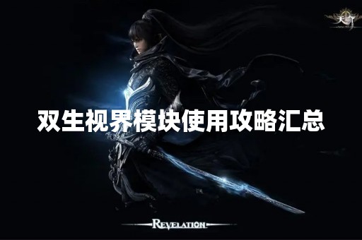 双生视界模块使用攻略汇总