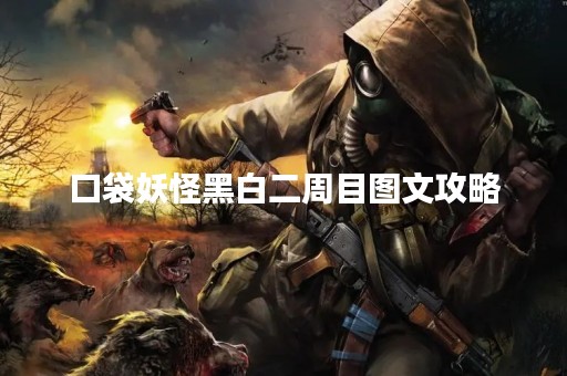 口袋妖怪黑白二周目图文攻略