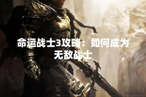 命运战士3攻略：如何成为无敌战士