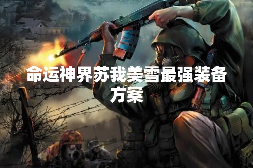 命运神界苏我美雪最强装备方案