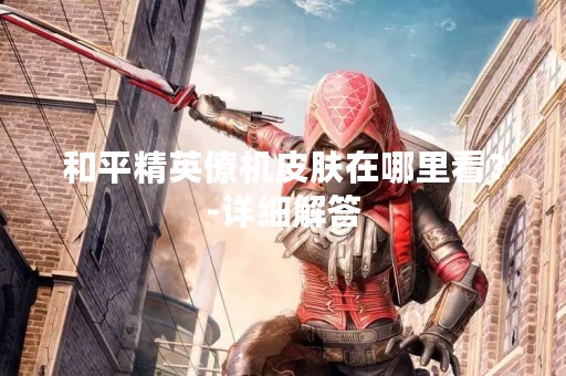 和平精英僚机皮肤在哪里看？-详细解答