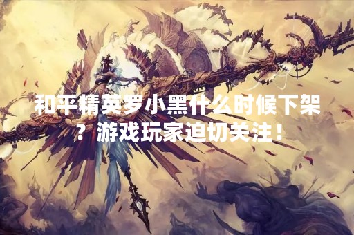 和平精英罗小黑什么时候下架？游戏玩家迫切关注！