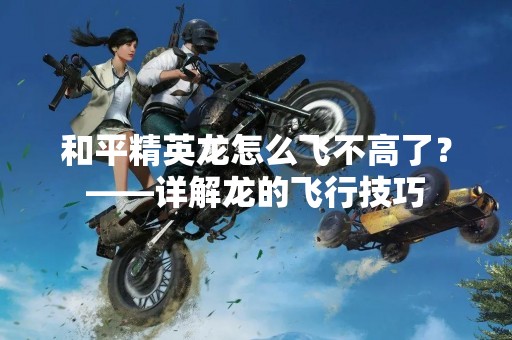 和平精英龙怎么飞不高了？——详解龙的飞行技巧