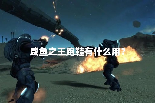 咸鱼之王跑鞋有什么用？