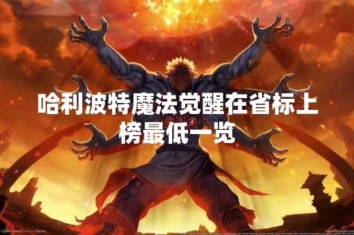 哈利波特魔法觉醒在省标上榜最低一览