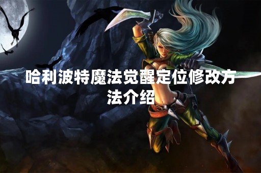 哈利波特魔法觉醒定位修改方法介绍